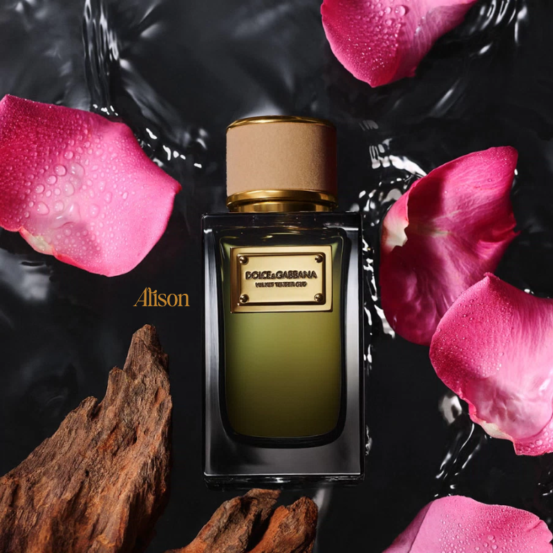 D&G Velvet Tender Oud EDP